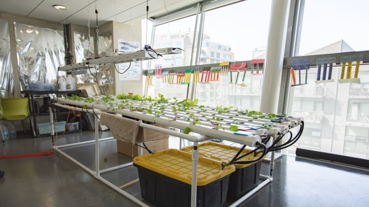 hydroponics lab at e3 Civic High