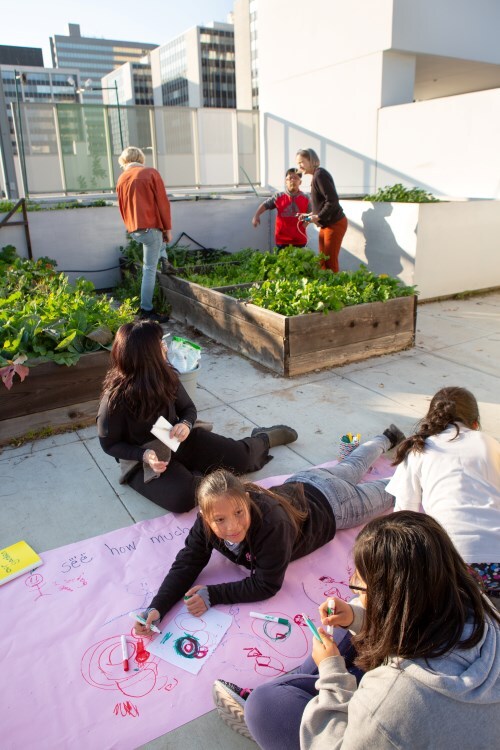 Students drawing in garden