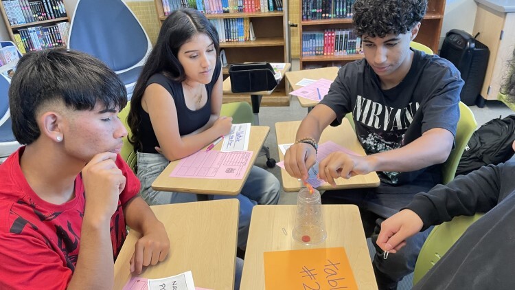 small group hands-on project