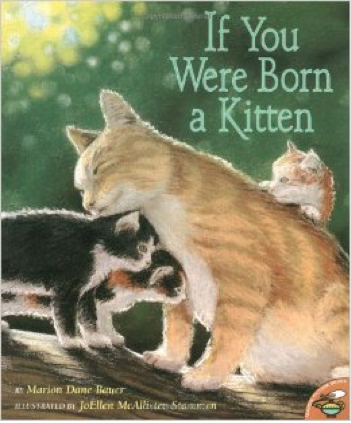 If You Were Born a Kitten book