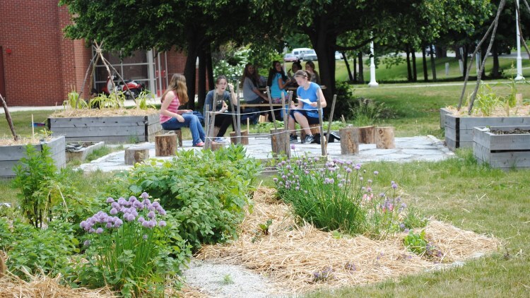 veggie garden and outdoor classroom