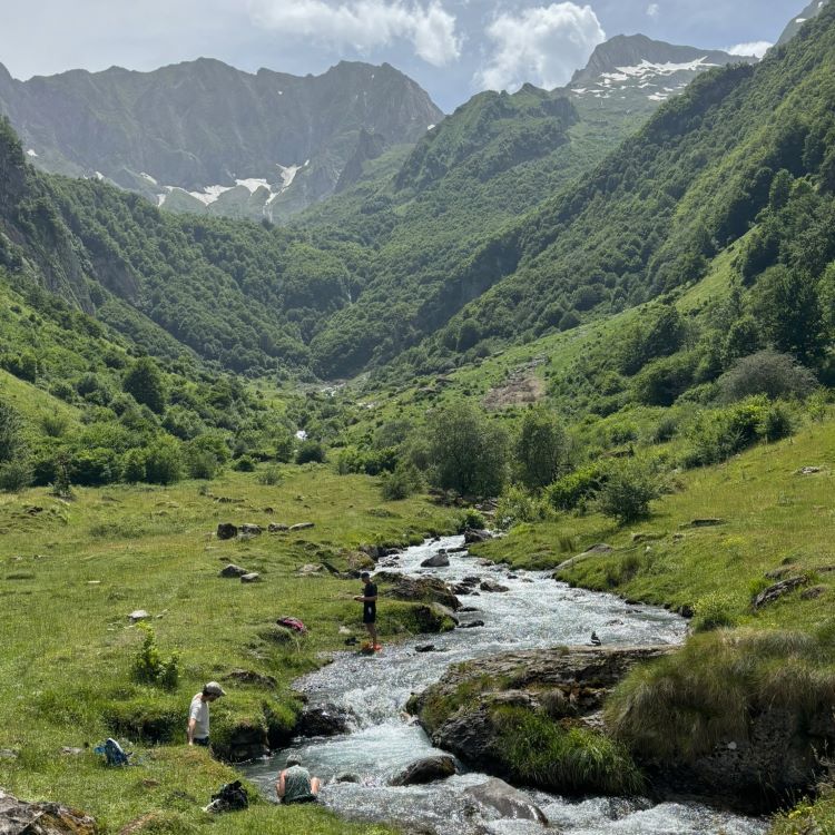 river flowing through a lush green valley