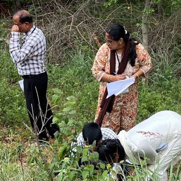 educators doing ecology fieldwork
