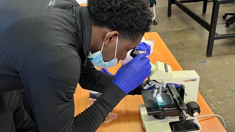 science experiment with microscope