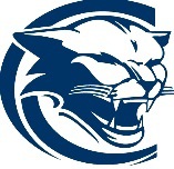 Chicago Academy logo