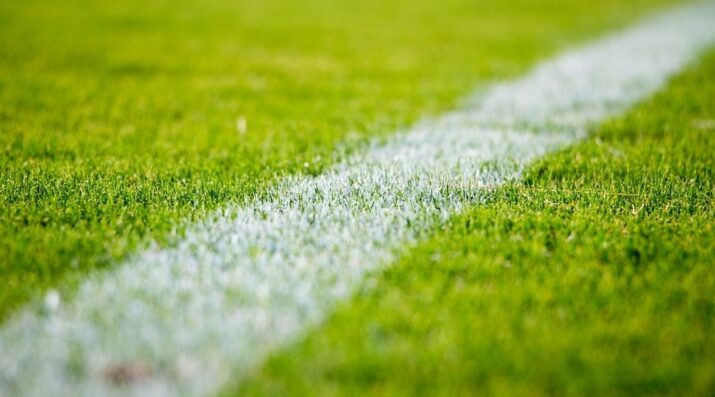 soccer field